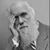 Nelson Brum's profile image