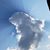 Darrell Phillips's profile image