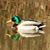 Katie Humerickhouse's profile image