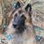 Randy Chilson's profile image