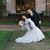 Denis Lipiyev's profile image