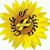 Sierre Mullin's profile image