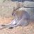John Isbell's profile image