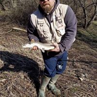Eric Travis's profile image