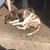 Hunter Oleson's profile image