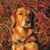 Gale Bauer Brinkman's profile image