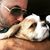 Jeff Bresyn's profile image