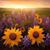 Brenda Carol Lewis's profile image