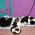 Jennifer Cline's profile image