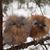 Nancy Stupka Miller's profile image