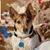 Paul Crotts's profile image