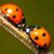 Terri McGowan Griesmyer's profile image