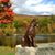 Roberta Ladrie's profile image