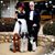 Lorelle Kitzmiller's profile image