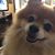 Pam Dockall Glenn's profile image