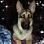 Anna Knapp - Dobbs's profile image