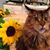 Wendy Raduechel's profile image