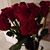 Diane Paetz's profile image