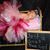 Candace Carnahan Myers's profile image