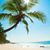 Cheri Cash Thomas's profile image