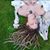 Shawna Llama's profile image