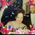 June Kersey's profile image
