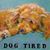Kathleen Sullivan's profile image