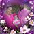 Toni Simmons-Whitley's profile image