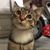 Angela Tsang's profile image