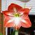 Angie Hooker-Clevenger's profile image