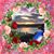 Joan Bishop's profile image