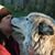Jennifer Marie's profile image