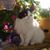 Suzzanne Dougherty's profile image