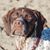 Timothy Miller's profile image
