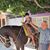 Milton Renteria's profile image