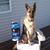 Pat Verbeek's profile image