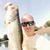 Shannon Welch's profile image