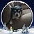 Tanya Hall Irving's profile image