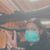 Ailine Maceo's profile image