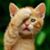 Pateep Kitbamrung's profile image