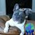 Carol Mitchell-Yon's profile image