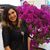 Vanessa Beracoechea's profile image
