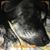 Heather Braley's profile image