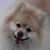 Jodi Shedletsky's profile image