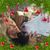 Teddie Tomaselli's profile image