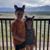 Racheal Boynton's profile image