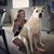 Jen Muldoon's profile image