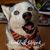 Melissa Powers Wilson's profile image