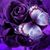 Lisa DuHamel's profile image