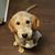 Gary Stockert's profile image
